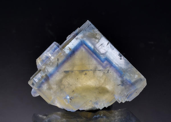 CC63960 specimen image
