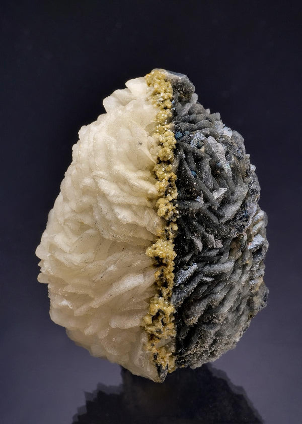 CC63978 specimen image