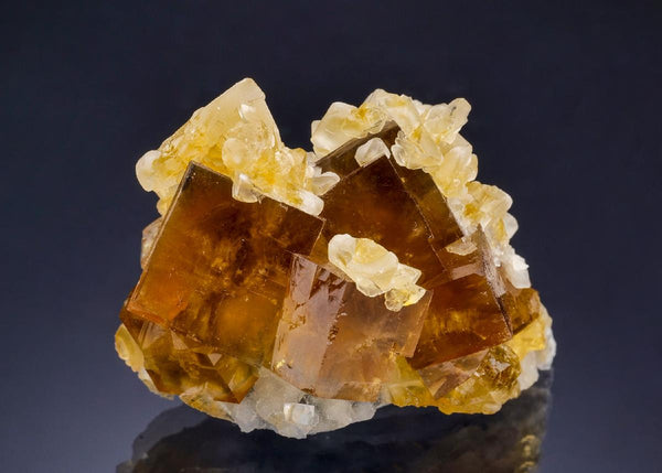 CC63984 specimen image