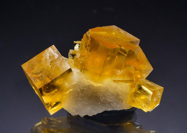 CC63990 specimen image