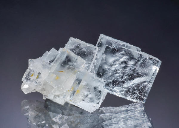 CC64005 specimen image