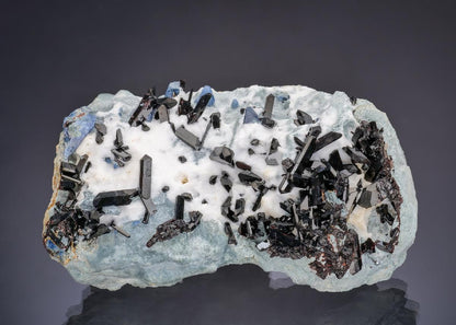 CC64035 specimen image