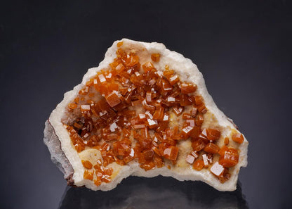 CC64101 specimen image