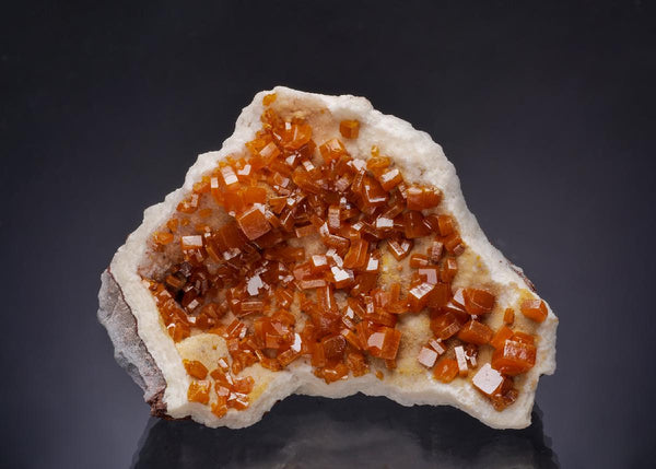 CC64101 specimen image