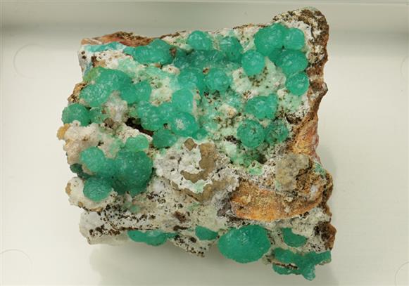 CC6411 specimen image