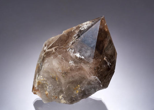 CC64194 specimen image