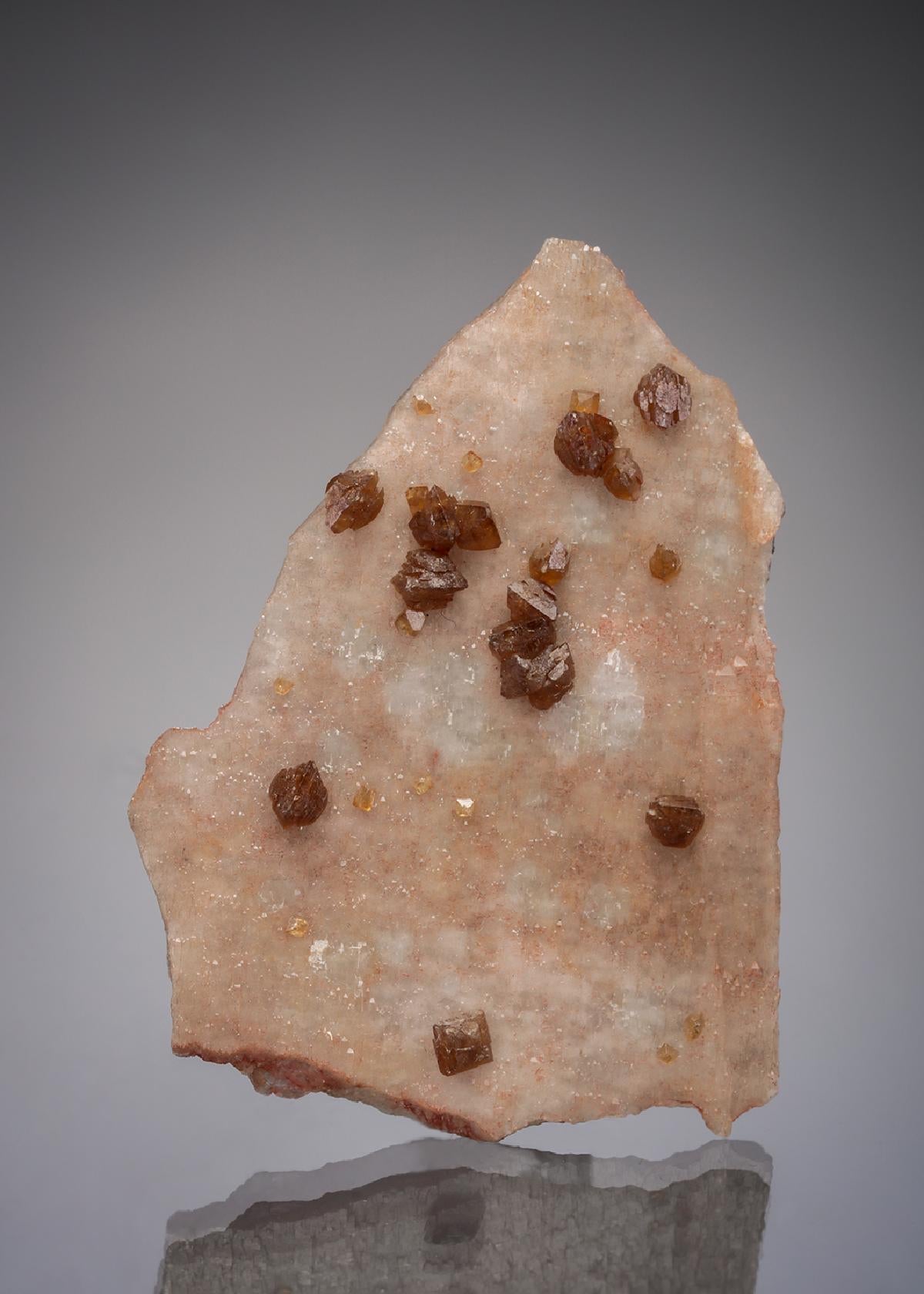 CC6428 specimen image