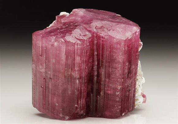 CC6441 specimen image