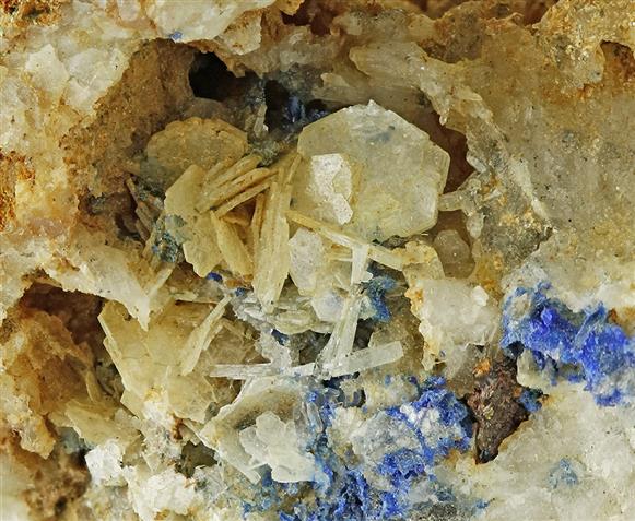 CC6444 specimen image
