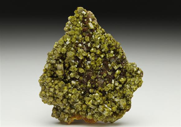 CC6455 specimen image