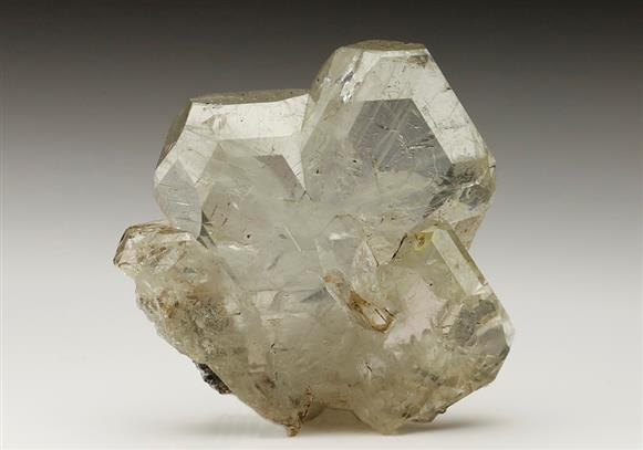 CC6465 specimen image