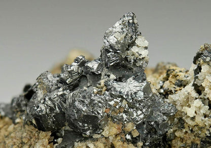 CC6470 specimen image