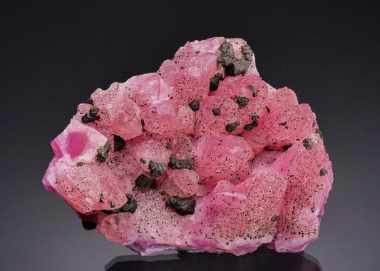 CC64713 specimen image