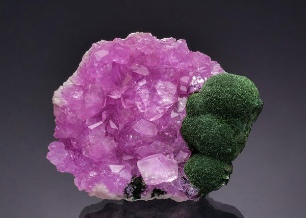 CC64737 specimen image