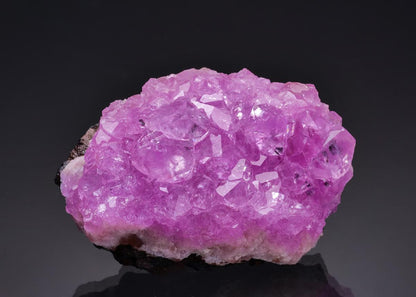 CC64743 specimen image