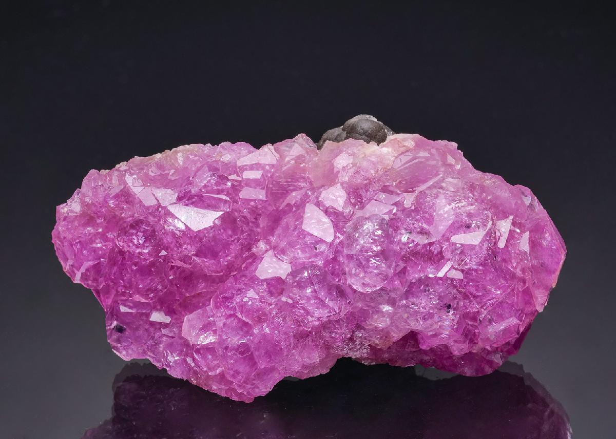 CC64773 specimen image