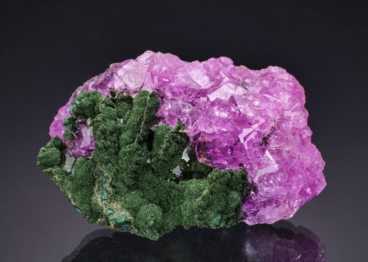 CC64776 specimen image