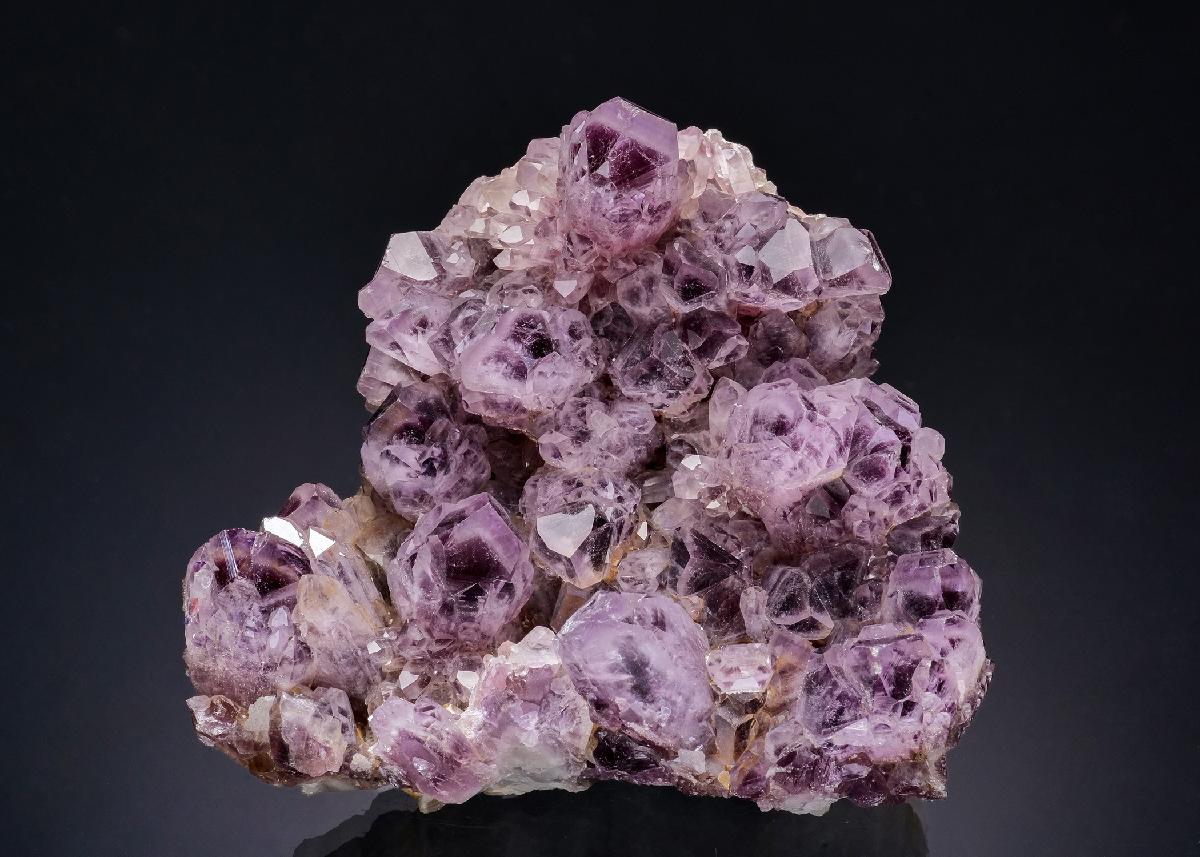 CC6485 specimen image