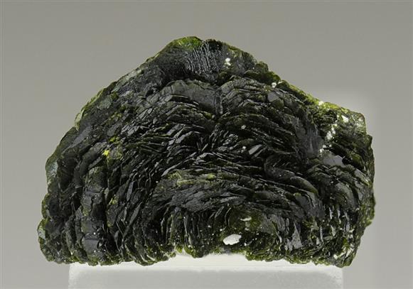 CC6487 specimen image