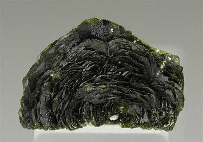 CC6487 specimen image