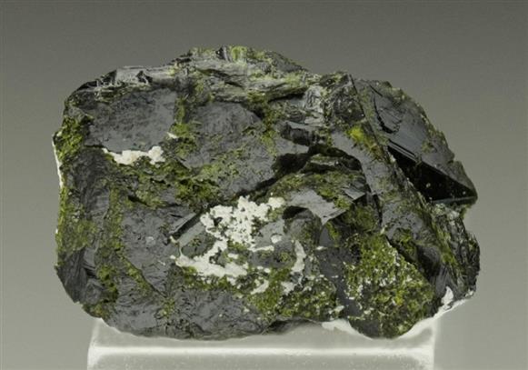 CC6490 specimen image