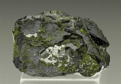 CC6490 specimen image