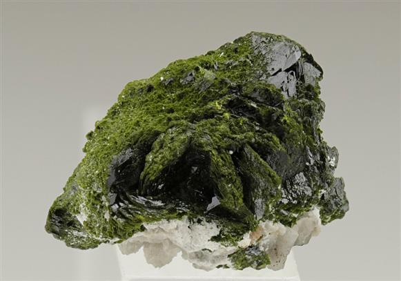 CC6492 specimen image