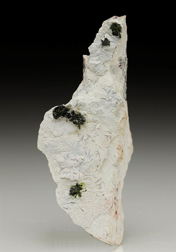 CC6496 specimen image