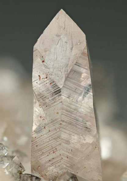 CC6516 specimen image