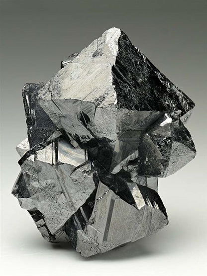 CC6525 specimen image