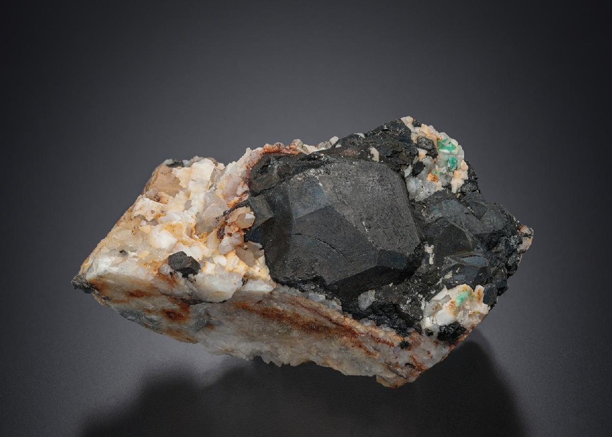 CC6529 specimen image