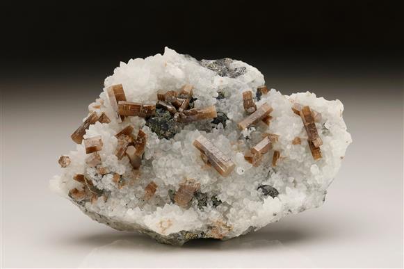 CC6622 specimen image