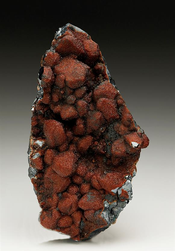 CC6627 specimen image