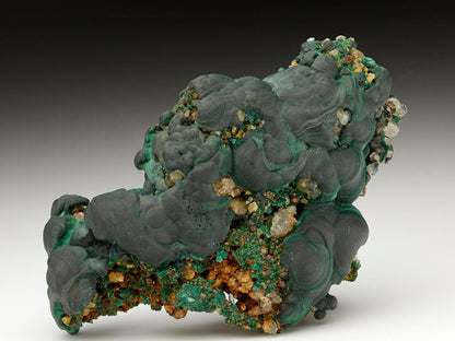 CC6630 specimen image