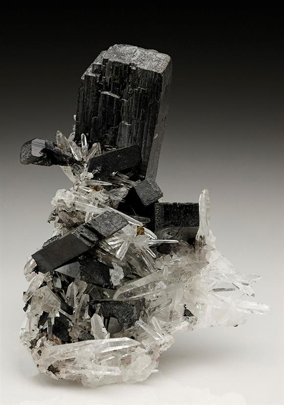 CC6682 specimen image