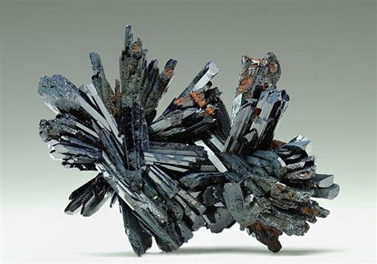 CC6687 specimen image