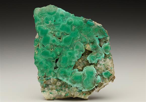 CC6692 specimen image