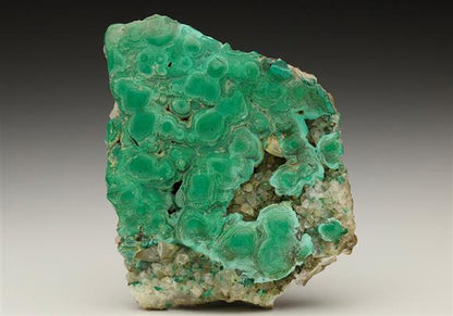 CC6692 specimen image