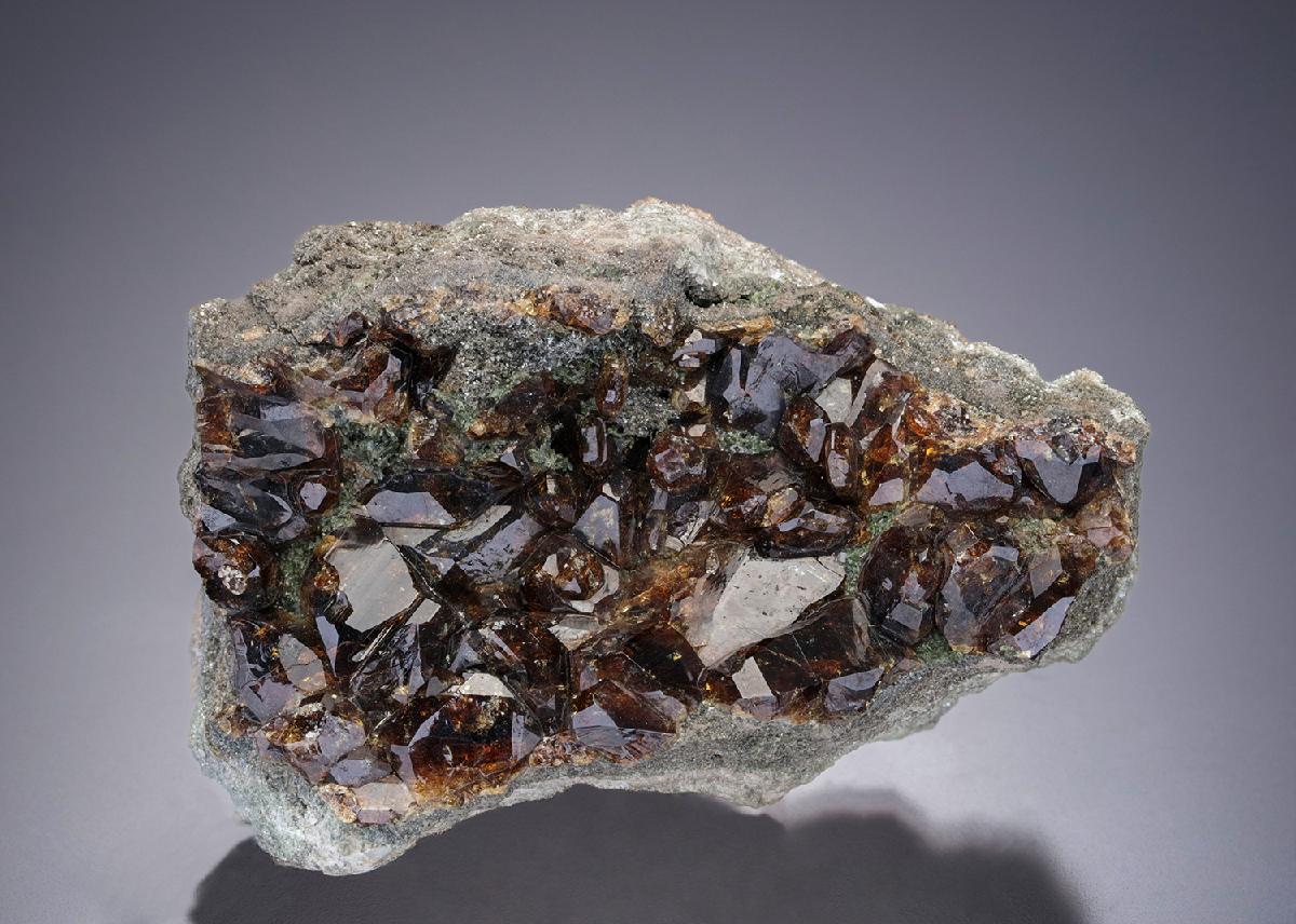 CC6693 specimen image