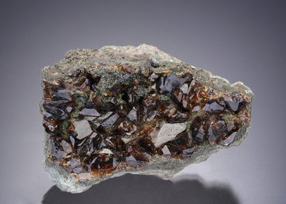 CC6693 specimen image