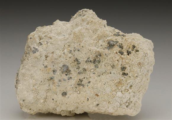 CC6696 specimen image