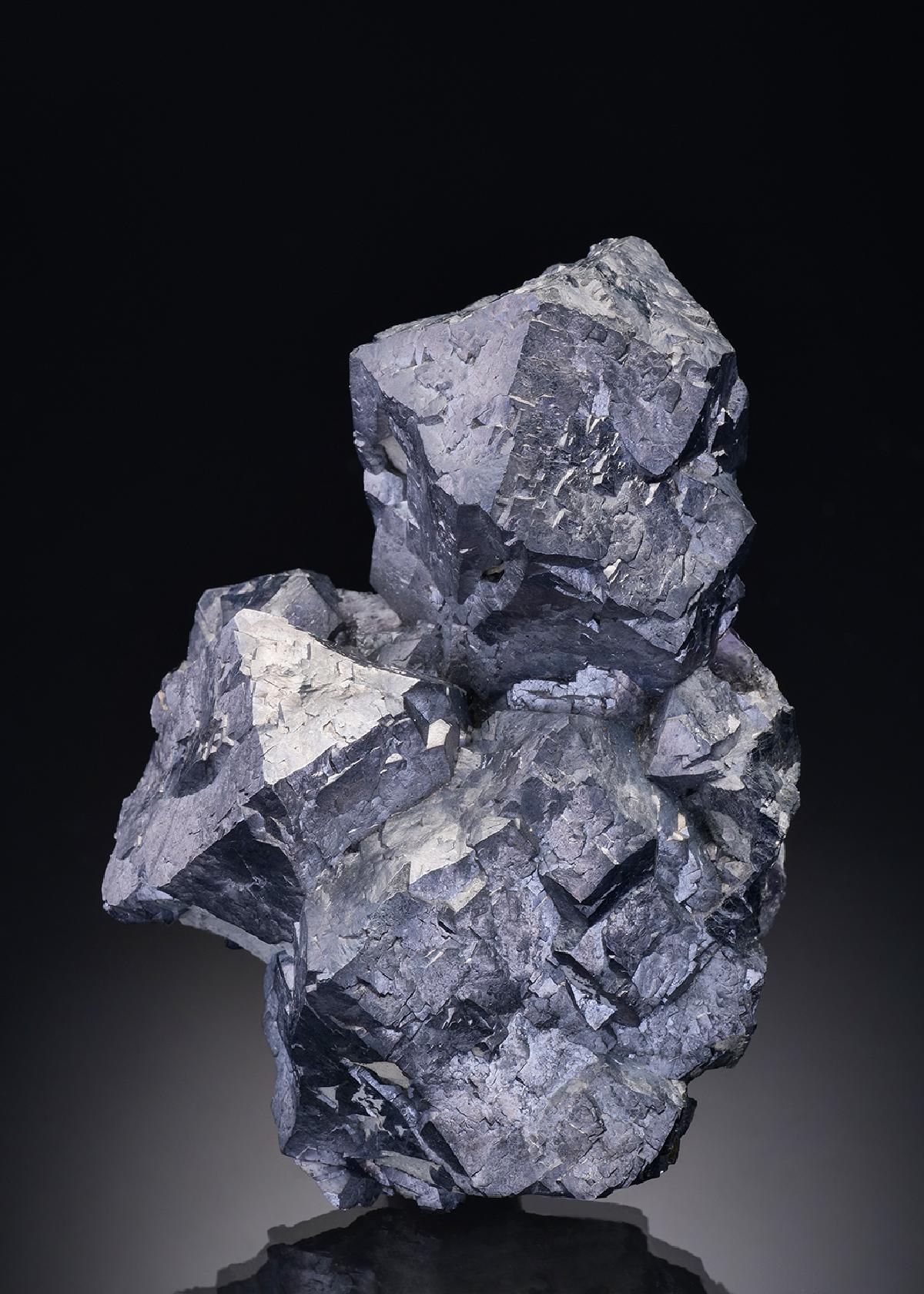 CC67 specimen image