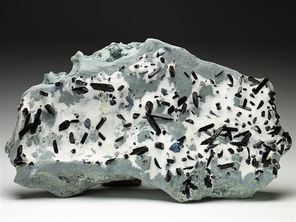 CC6730 specimen image