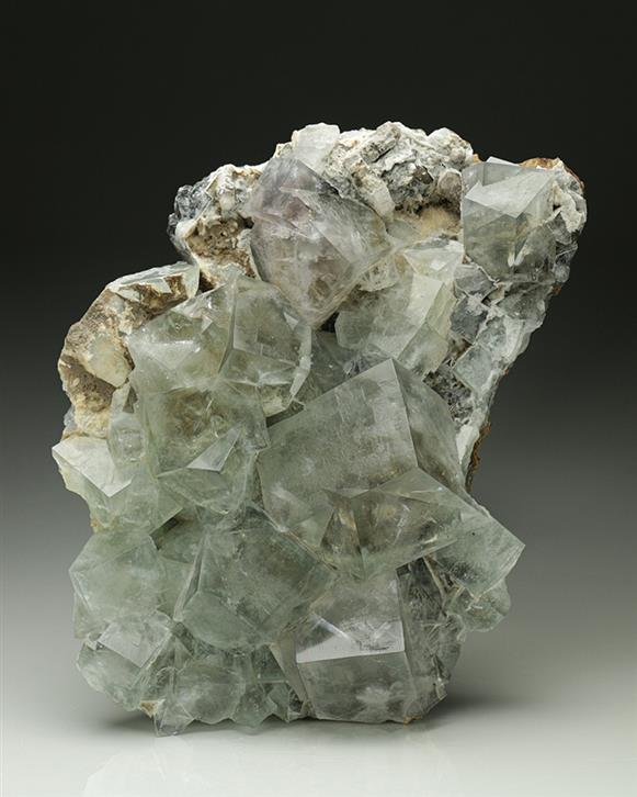 CC6739 specimen image