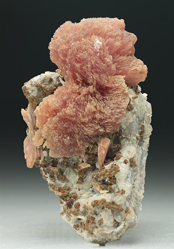CC6779 specimen image