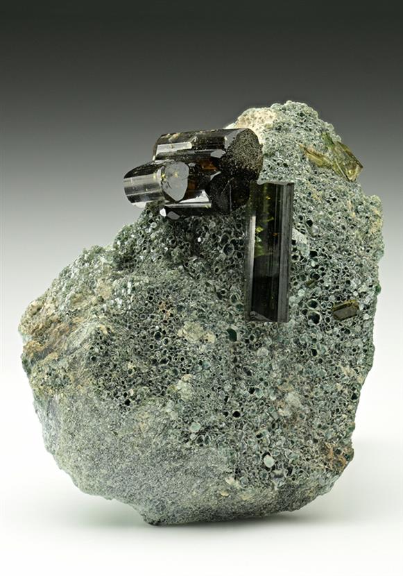 CC6800 specimen image