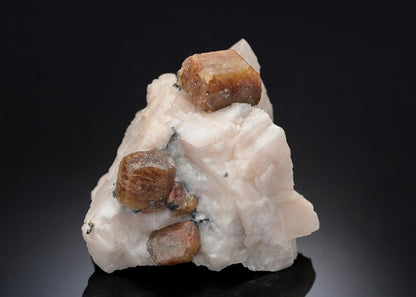 CC6811 specimen image