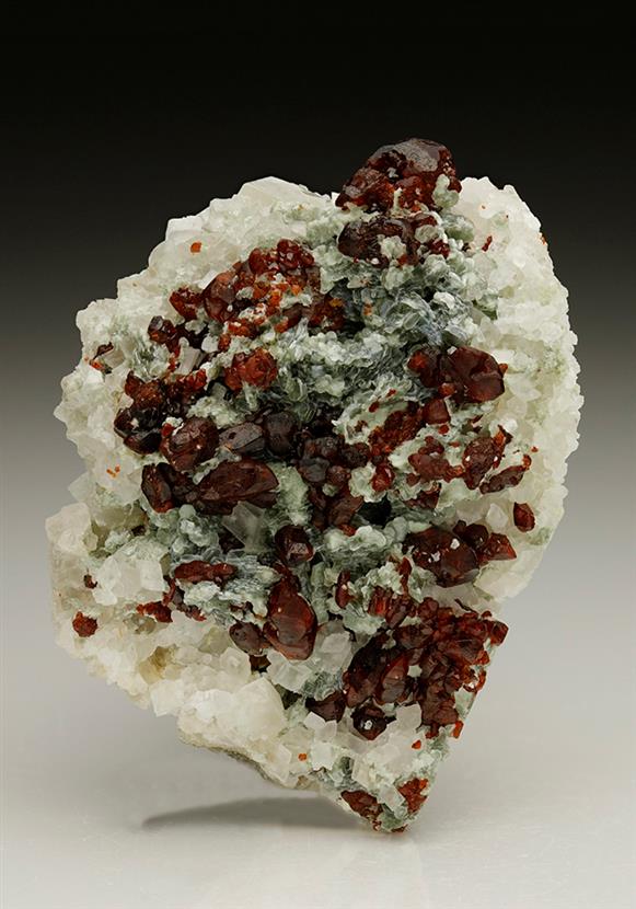 CC6824 specimen image