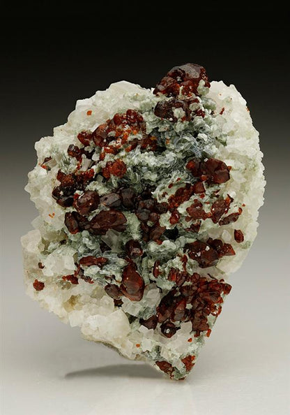 CC6824 specimen image