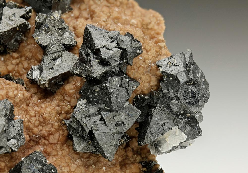 CC6871 specimen image